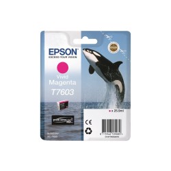 Epson Dauphin T7 - 603 Magenta – Cartouches d’Encre Sure Color | Original Epson