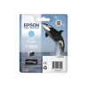 Epson Dauphin T7 - 605 Cyan Light – Cartouches d’Encre Sure Color | Original Epson